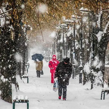 Black And White Lejlighed Pirot