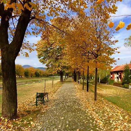 Black And White * Pirot