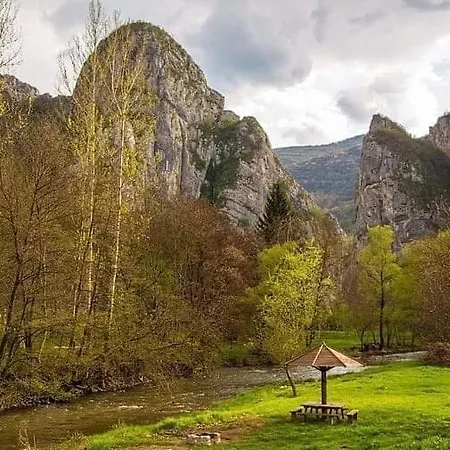 Lejlighed Black And White Pirot