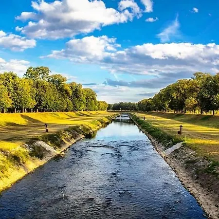 Black And White Pirot