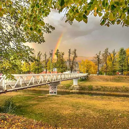 Black And White Pirot