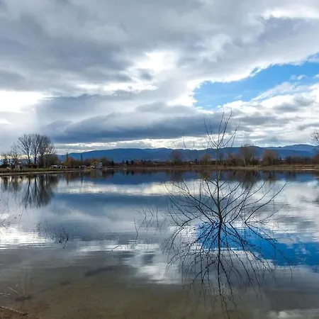 Lejlighed Black And White