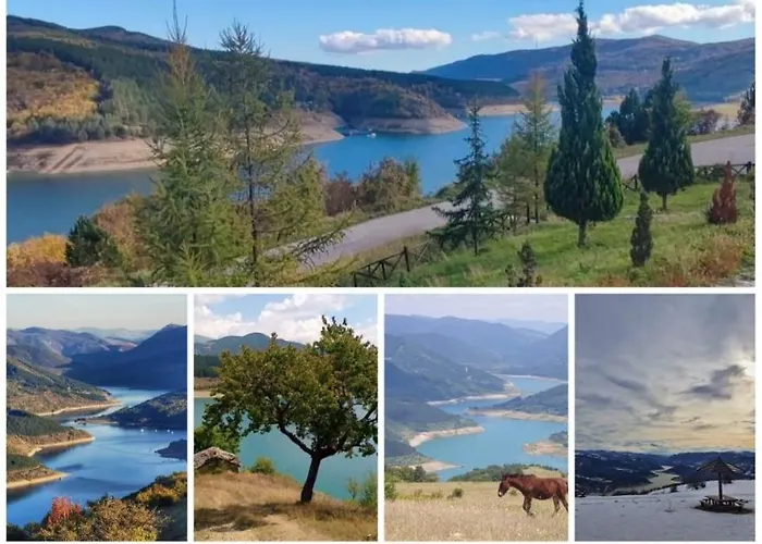 شقة Black And White بايرت