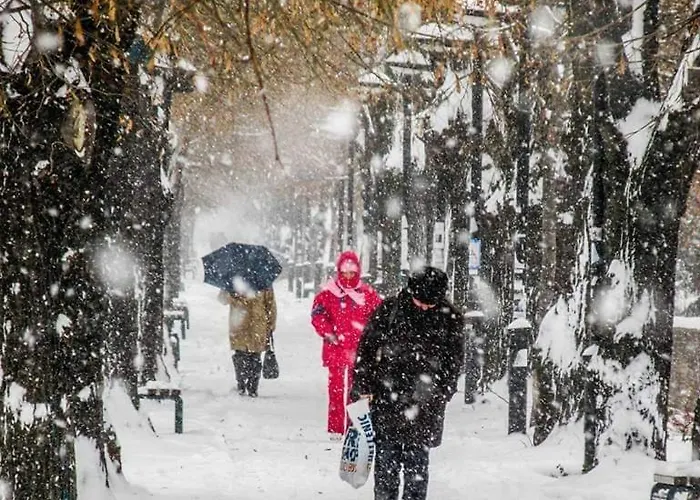 Black And White شقة بايرت