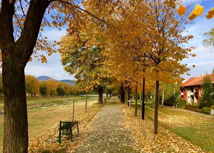 Black And White * بايرت