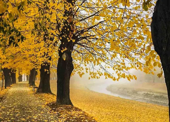 Black And White شقة بايرت