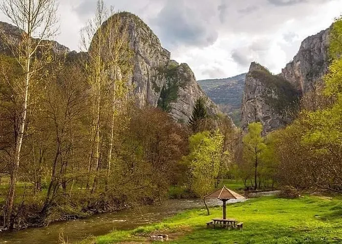 شقة Black And White بايرت