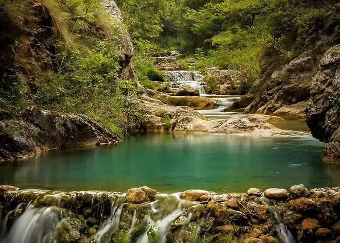 Black And White بايرت