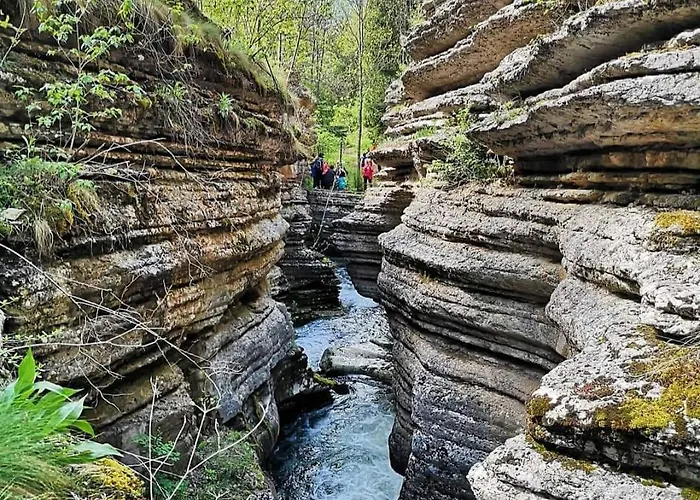 شقة Black And White