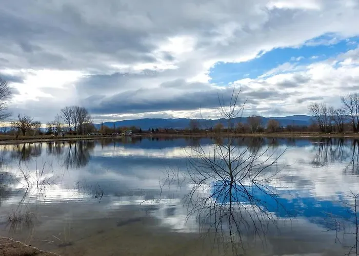 شقة Black And White